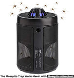 قاتلة  الدباب